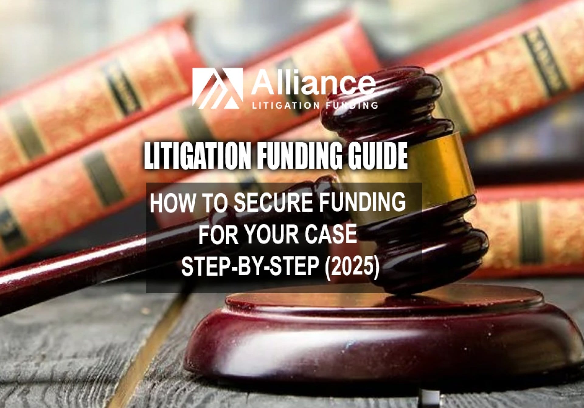 litigation funding guide, step by step
